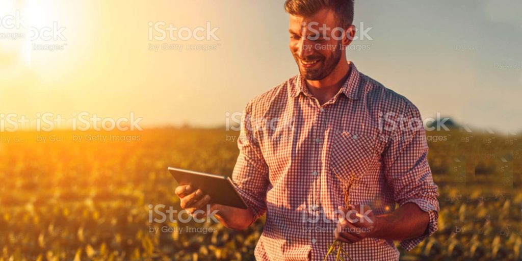 _young-farmer-in-filed-holding-tablet-in-his-hands-and-examining-corp-picture-id1198012117